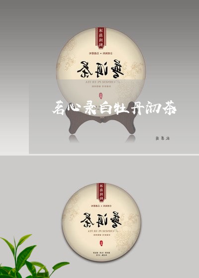 茗心录白牡丹沏茶/2023090641694