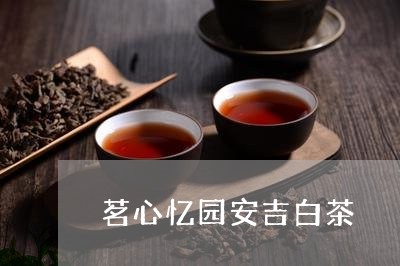 茗心忆园安吉白茶/2023071137471