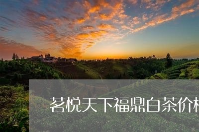 茗悦天下福鼎白茶价格/2023120857382