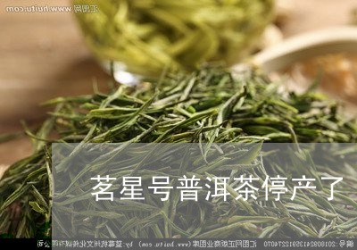 茗星号普洱茶停产了/2023121896382