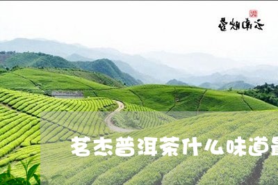 茗杰普洱茶什么味道最好/2023120720582