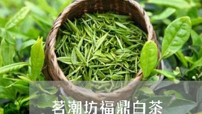 茗潮坊福鼎白茶/2023062838270