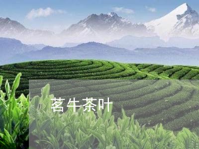 茗牛茶叶/2023090182936