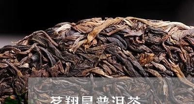 茗翔昊普洱茶/2023042890525