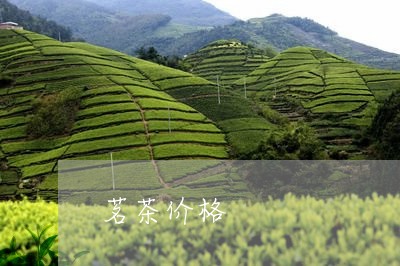 茗茶价格/2023090154148