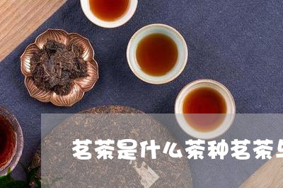 茗茶是什么茶种茗茶与名茶/2023051193935