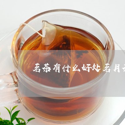 茗茶有什么好处茗月茶/2023071410637