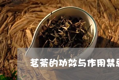 茗茶的功效与作用禁忌/2023060961725