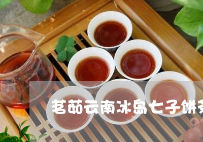 茗茹云南冰岛七子饼茶/2023092373734