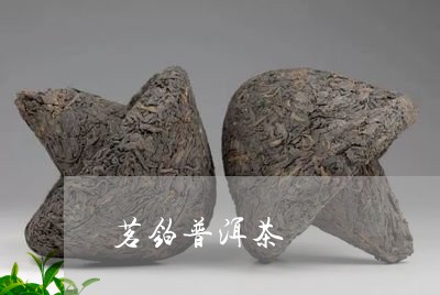 茗铂普洱茶/2023081738392