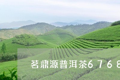 茗鼎源普洱茶6768/2023100884038