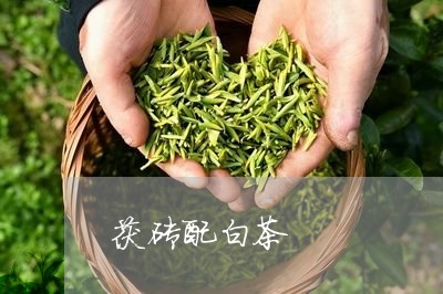 茯砖配白茶/2023051162813