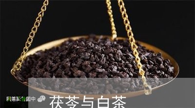 茯苓与白茶/2023051137583