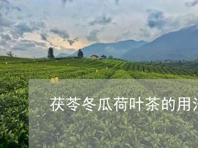 茯苓冬瓜荷叶茶的用法/2023092074037