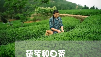 茯苓和白茶/2023051143626