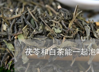 茯苓和白茶能一起泡吗功效/2023042884059