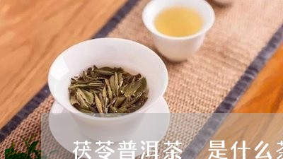 茯苓普洱茶鉼是什么茶/2023080309471