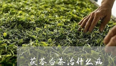 茯苓白茶治什么病/2023071172505