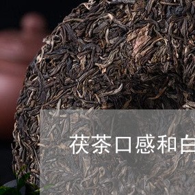 茯茶口感和白茶口感一样吗/2023042815047