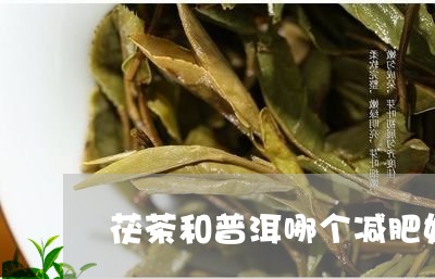 茯茶和普洱哪个减肥好/2023061301715