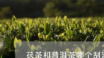 茯茶和普洱茶哪个刮油/2023100761494