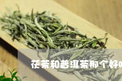 茯茶和普洱茶那个好喝/2023100738392