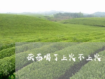 茯茶喝了上火不上火/2023042030694