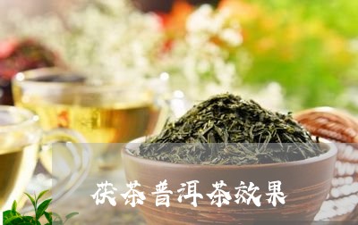 茯茶普洱茶效果/2023070925157