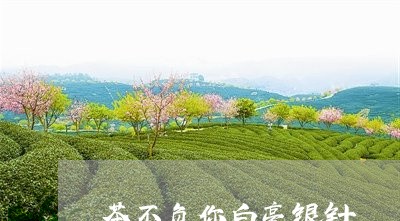 茶不负你白毫银针/2023071170715