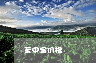 茶中宝价格/2023090233706