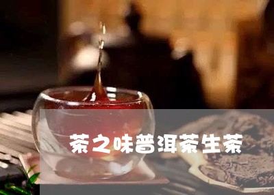 茶之味普洱茶生茶/2023120448491