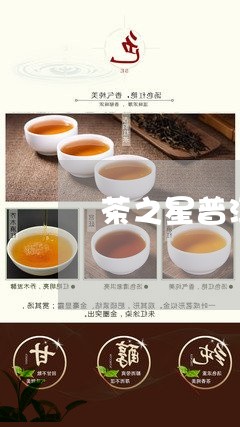 茶之星普洱茶/2023042805621