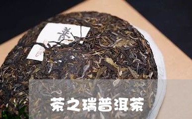 茶之瑞普洱茶/2023042873843