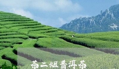 茶二姐普洱茶/2023042782149