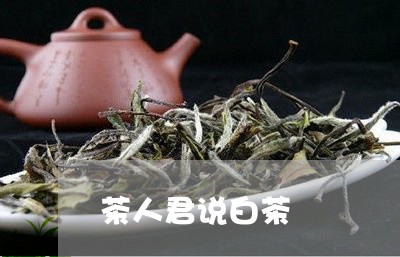 茶人君说白茶/2023052472597