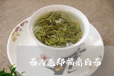 茶人老郑福鼎白茶/2023062828264