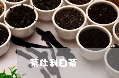 茶仕利白茶/2023051128249