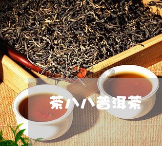 茶八八普洱茶/2023081526169