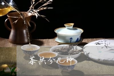 茶共分几种/2023090287048