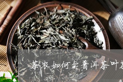 茶农如何卖普洱茶叶茶/2023121861814