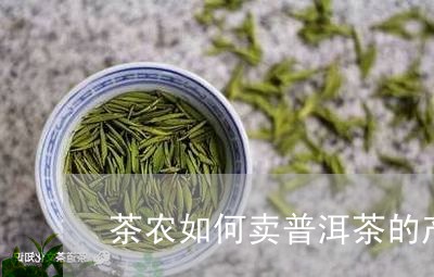茶农如何卖普洱茶的产品/2023121874716