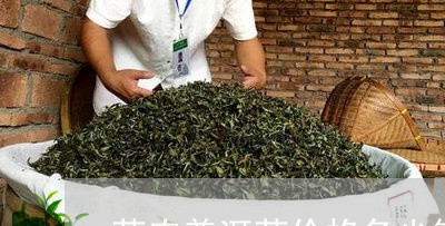茶农普洱茶价格多少钱一斤/2023121874936