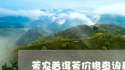 茶农普洱茶价格查询表/2023121816241