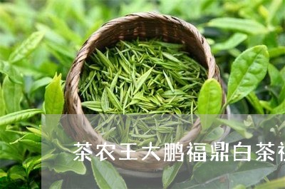 茶农王大鹏福鼎白茶视频/2023082513717