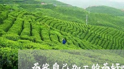 茶农自己加工的茶好吗/2023071618527