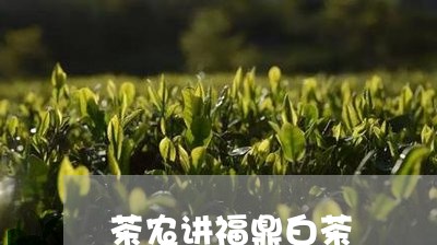 茶农讲福鼎白茶/2023060962695