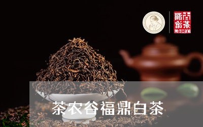 茶农谷福鼎白茶/2023111636362