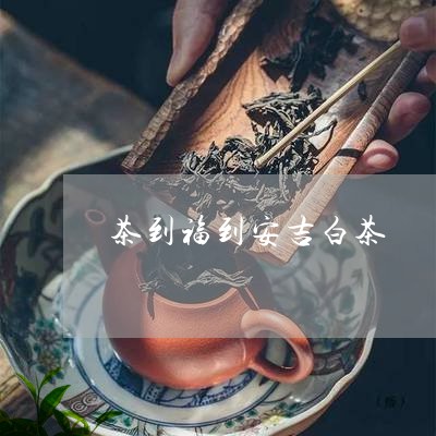 茶到福到安吉白茶/2023071051595