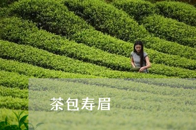 茶包寿眉/2023082620472