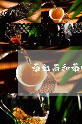 茶化石和茶叶哪个好/2023042650612